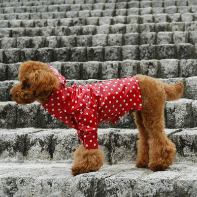 A new item, Rain Coat sewing pattern for dog is on sale.