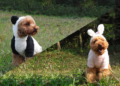 A new item, Rabbit / Panda costume sewing pattern for dog is on sale.