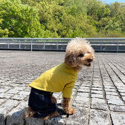 Everybody's T-shirt Dog Clothes Sewing Pattern