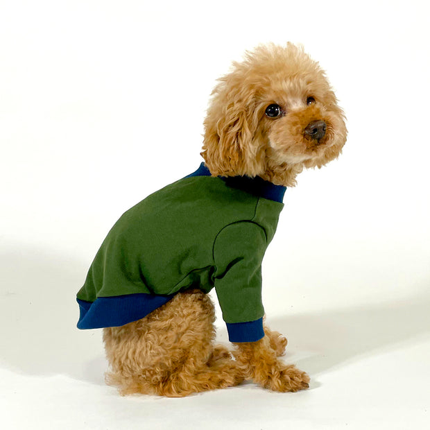 Everybody's Sweatshirt Dog Clothes Sewing Pattern