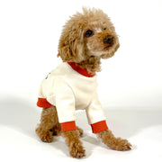 Everybody's Sweatshirt Dog Clothes Sewing Pattern