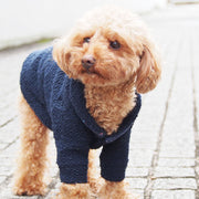 A dog wearing shawl collar cardigan