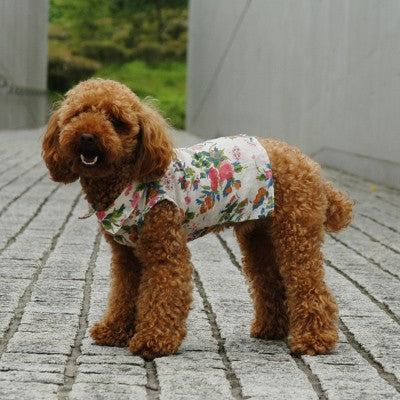 Dog shirt pattern
