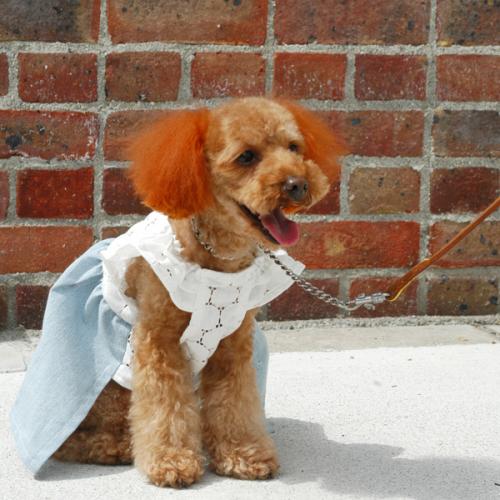 Dog Summer dress Sewing Pattern - Dog clothes sewing patterns shop milla milla Dog Summer dress Sewing Pattern - Dog clothes sewing patterns shop milla milla