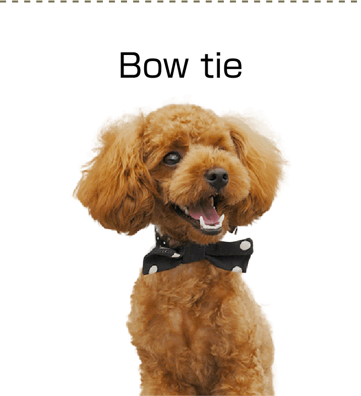 Bow tie